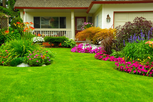 how to improve your home's curb appeal in 10 steps under $100