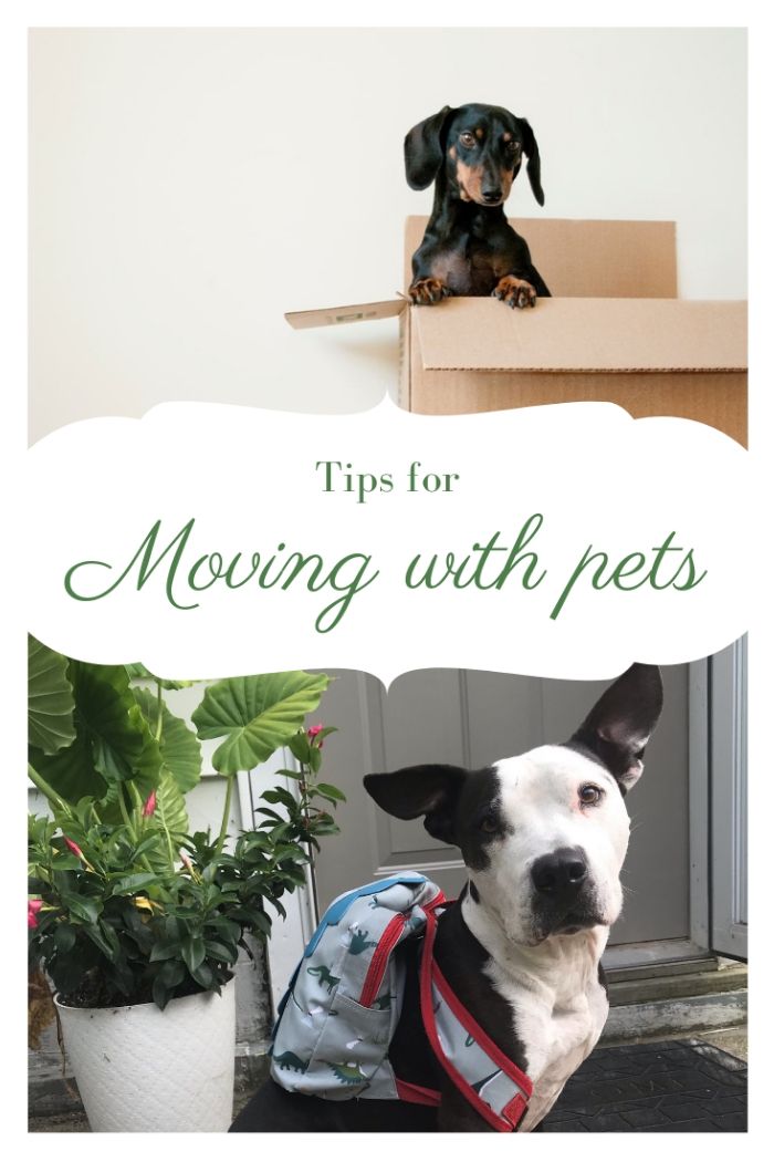 Moving with Pets Pinterest image.