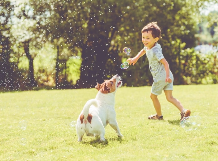 Boy and dog playing outside with bubbles.