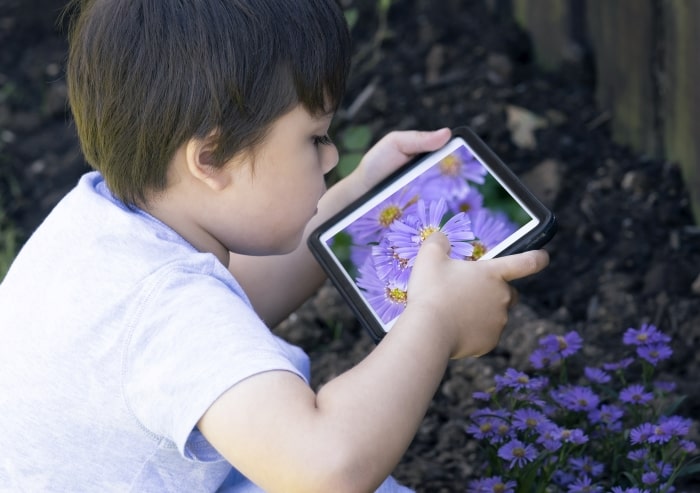 Boy taking photo of flowers with tablet.