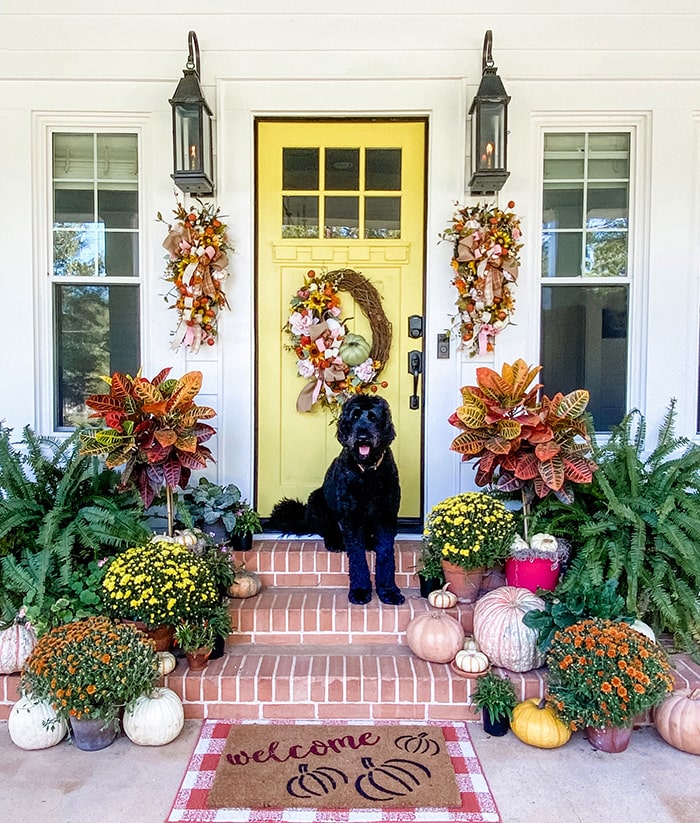 Yellow fall front door with fall decor, Schlage locks and dog