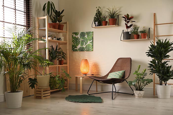 Sitting are with a variety of houseplants.