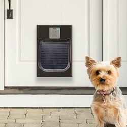 Introducing the first-ever smart lock for dogs