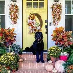Perfect fall front door | Schlage