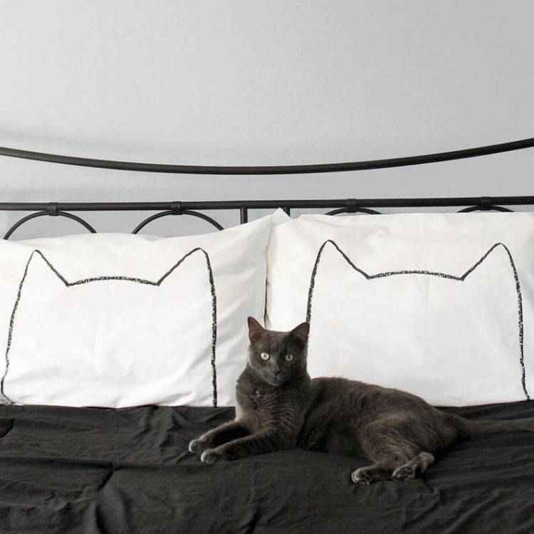 Cat laying on bed with cat print pillow cases.