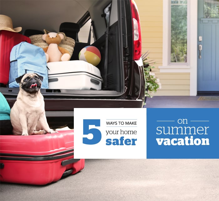 Dog sitting on suitcases before family leaves for vacation.