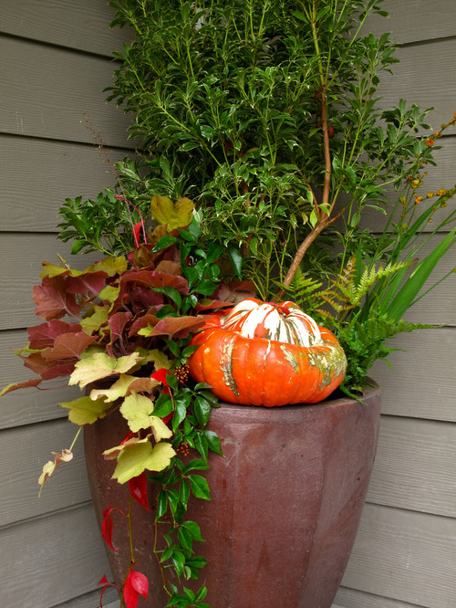 Fall containers - Porch decor - Schlage