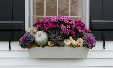 Fall color palette - Purple porch decor - Schlage