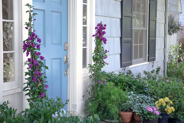 Bright blue front door on cape cod home surrounded by beautiful blooms.