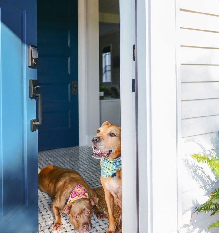 Colorful front porch planters in bright blue pots.