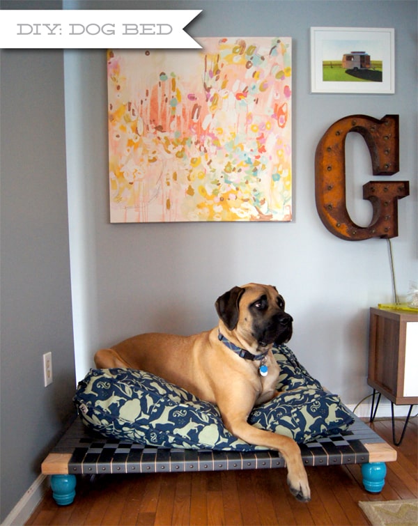DIY dog bed.