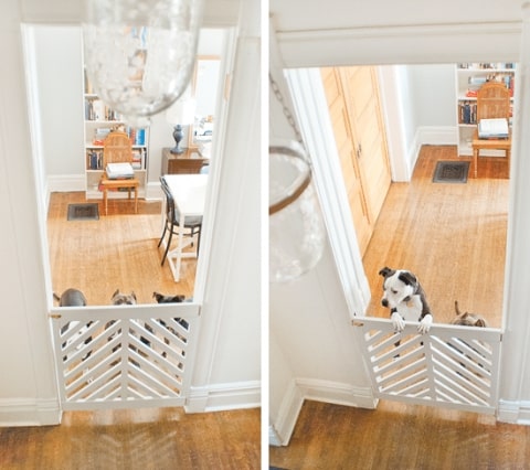DIY dog gate.