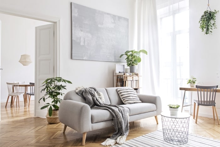 Minimalist living room with green plants