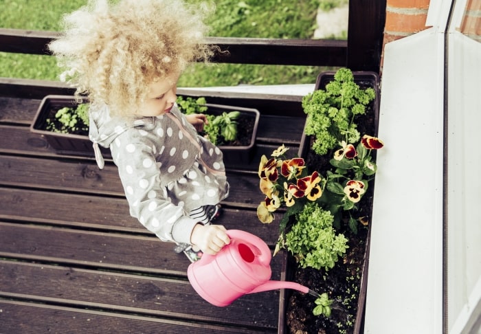 Child watering herb garden in flower pots.
