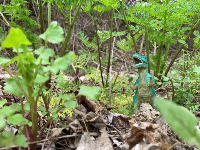 Toy dinosaur standing in ferns.