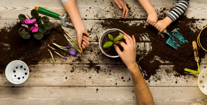 Family planting plants in flower pot.