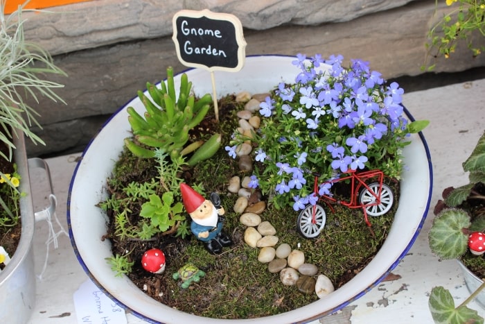 Gnome fairy garden in enamel pan.