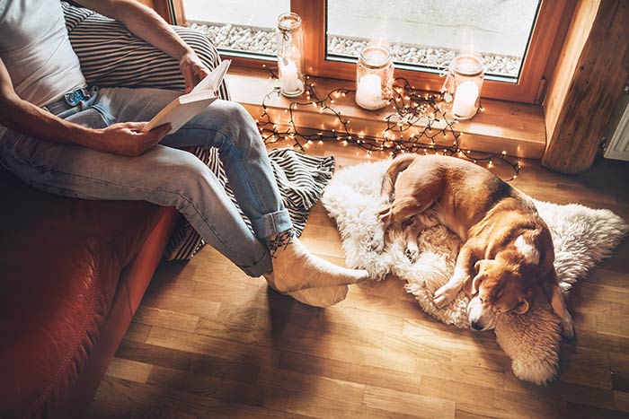 Homeowner at peace reading book next to dog sleeping.