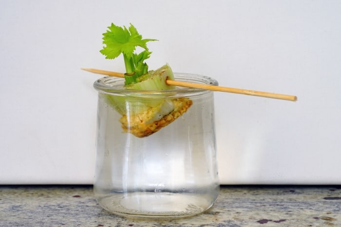 Rooting celery stub in jar of water.