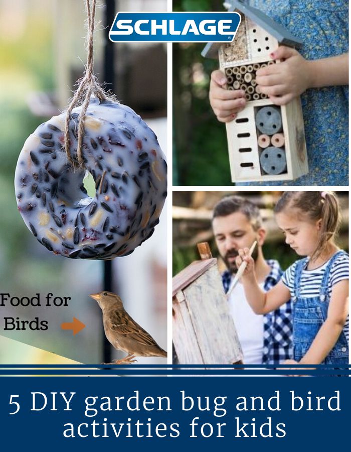 5 diy garden bug and bird activities for kids