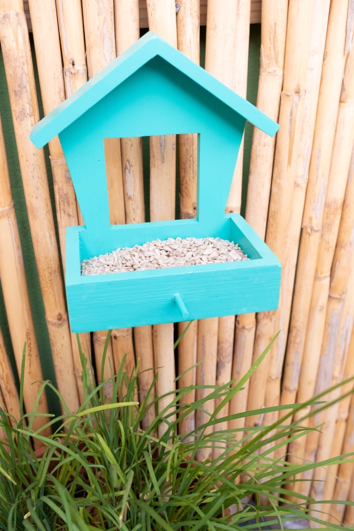 Bird feeder in garden.