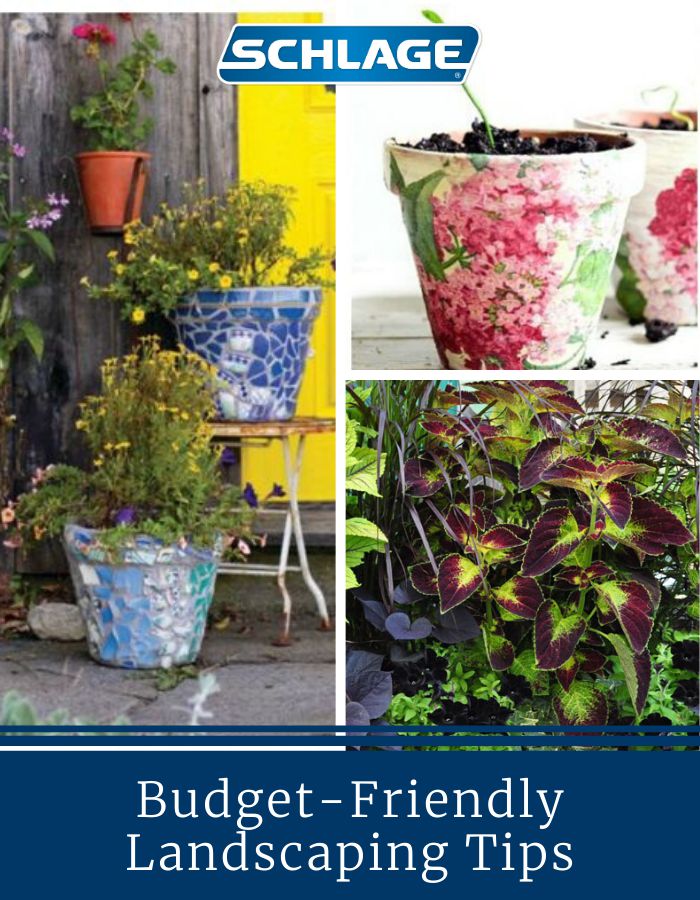 Budget-friendly landscaping tips.