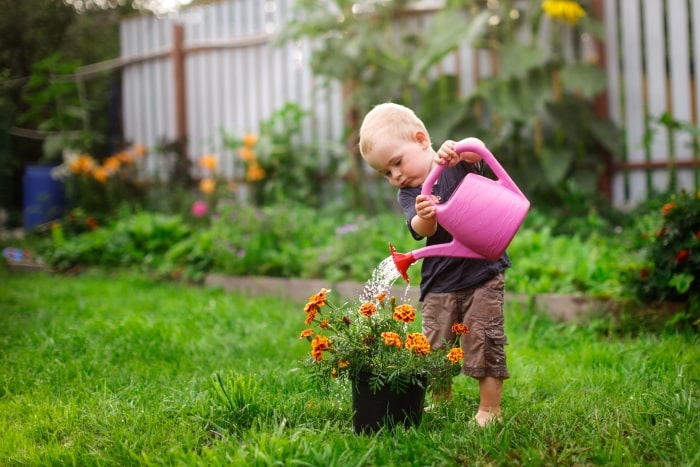 Little boy watering flowers.