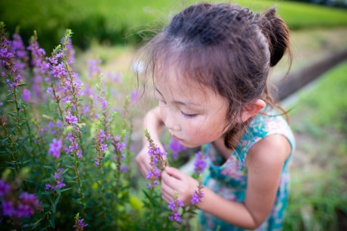 Little girl smelling flowers.