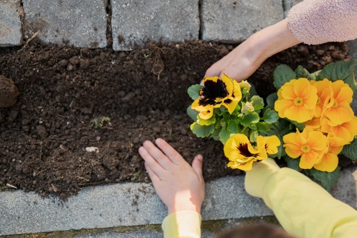 Mother and child planting flowers