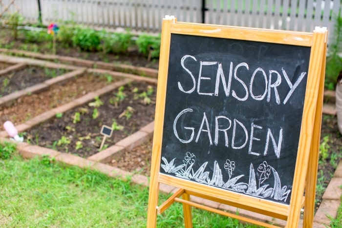 Sensory garden written on chalkboard next to garden.