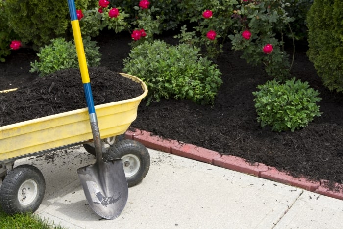 Wagon with mulch.