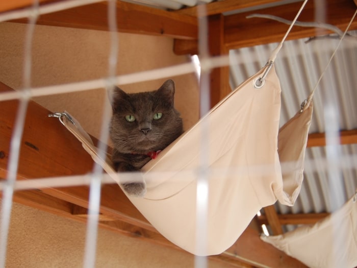 cat enclosure hammock