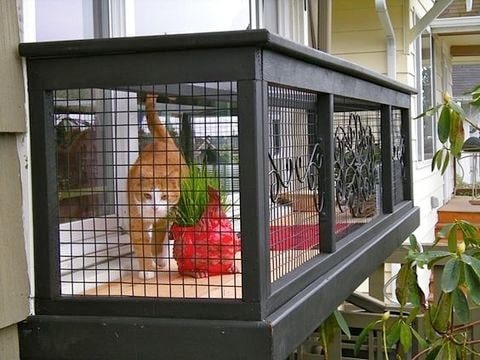 Window catio Clearance