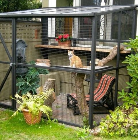 simple catio