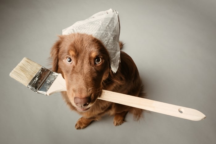 Dog with newspaper hat holding paint brush in mouth.