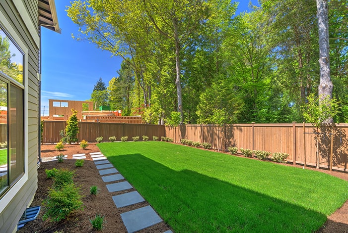 Backyard with privacy fence and landscaping.