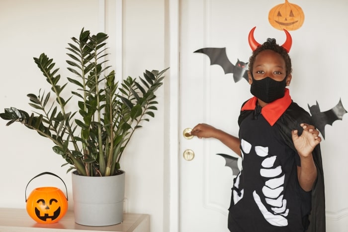 Boy with halloween costume and black mask.