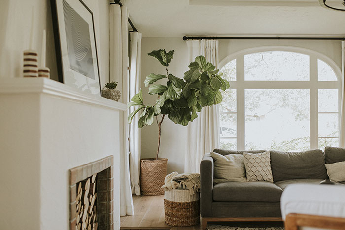 Cozy living room.