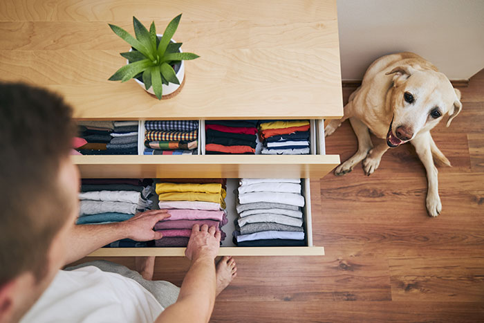 Dog watching man put clothes in drawer.