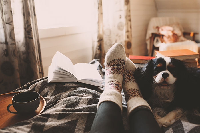 Woman with cozy socks and book laying in bed with dog.