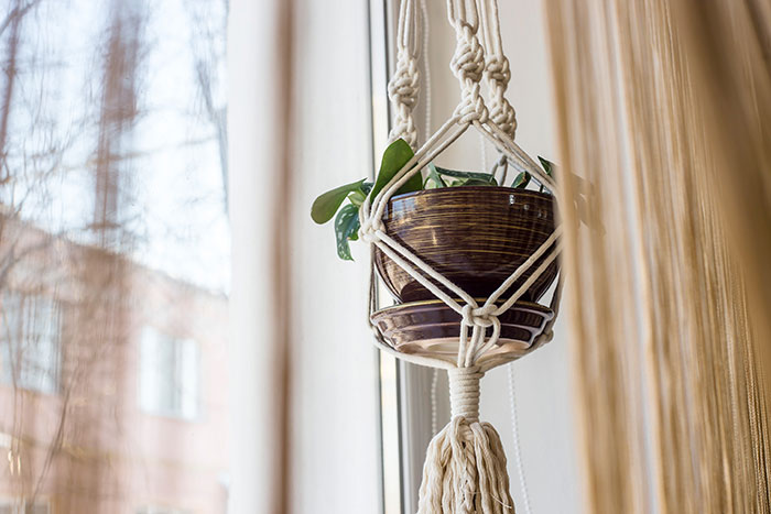 Hanging macramé planter.