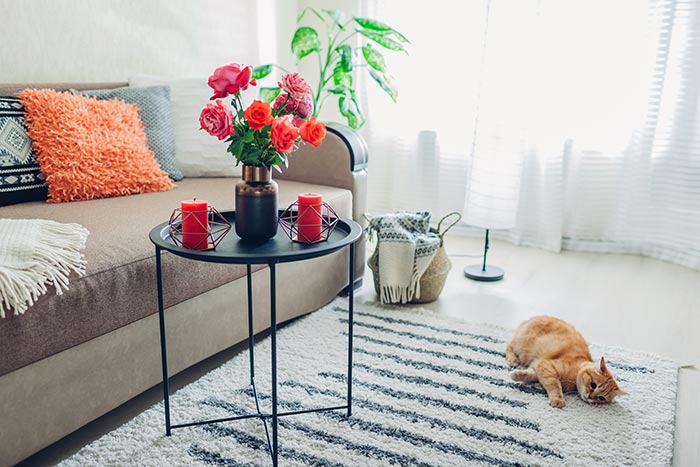 Living room with pink, orange roses and decor and cat playing on rug.