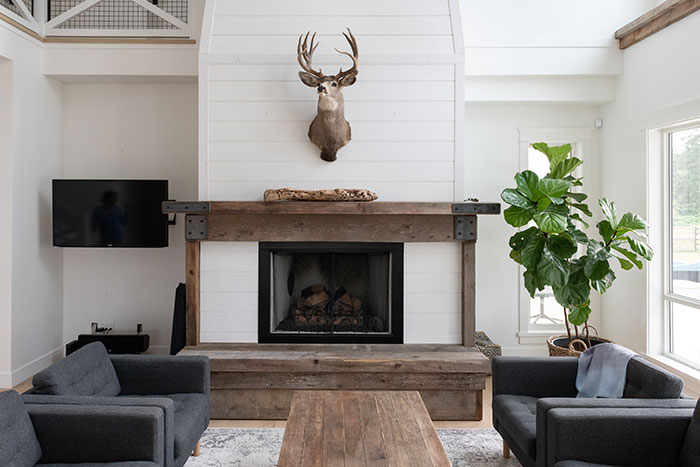 Modern farmhouse living room with fireplace and big houseplant.