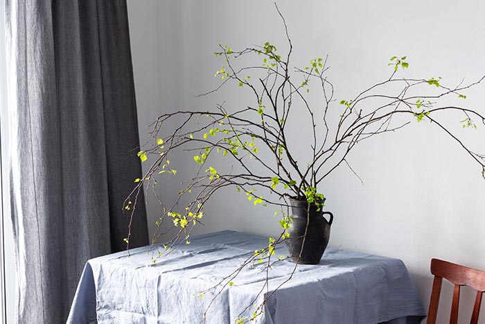 Branches with green buds in vase on table