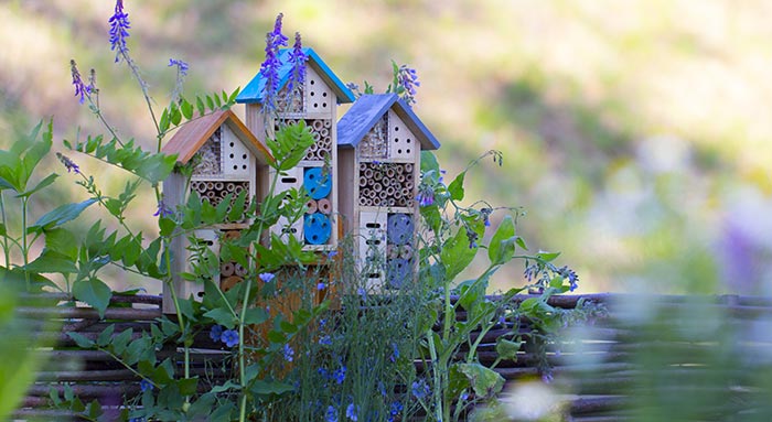 Bee hotel.