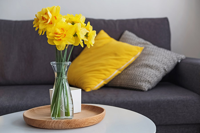 Daffodils in vase in living room.