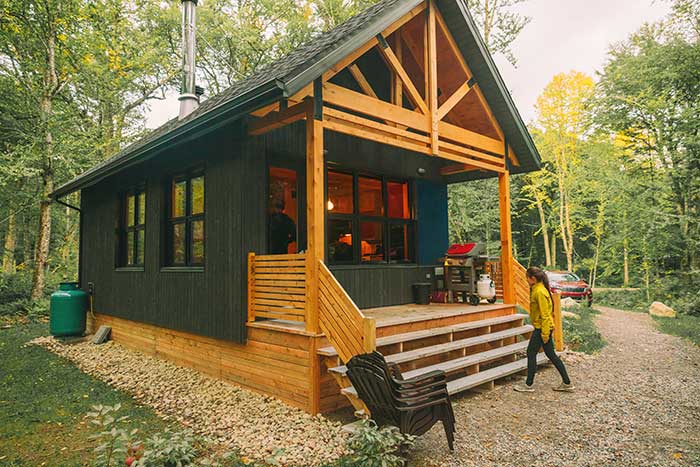 Green tiny cabin in woods.