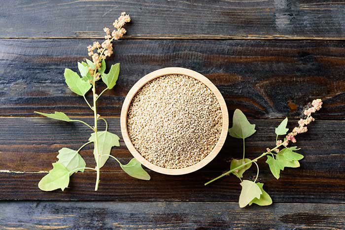 Quinoa in bowl with quinoa plants laying on brown table.