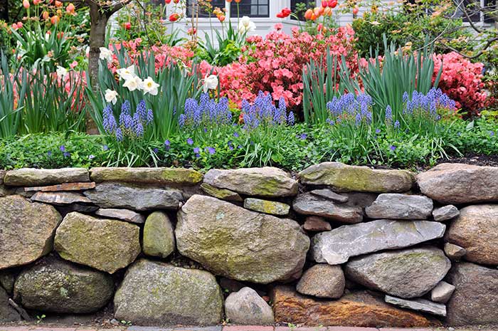 Spring landscaping with flowers.