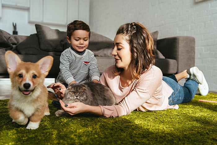 Mom and son playing with cat and dog on the floor.